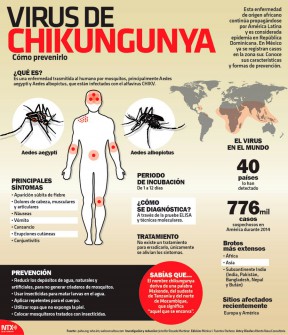 Salud Jalisco pide mantener medidas contra chikungunya y zika.