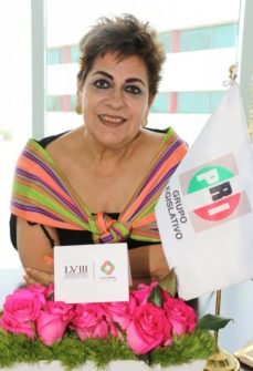 Leticia Mercado Herrera, Presidenta de la Comisión de la Familia, en la LVIII Legislatura de Querétaro.
