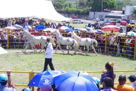 razas-internacionales-de-equinos-feria-san-juan-del-rio-11