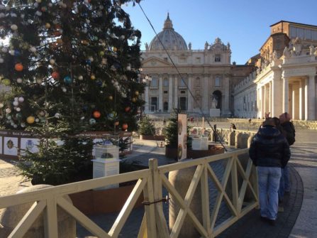 nacimiento-arbol-gigante-atraccion-navidena-vaticano-5